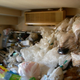Image for article titled Behold, Some of Japan's Dirtiest Rooms